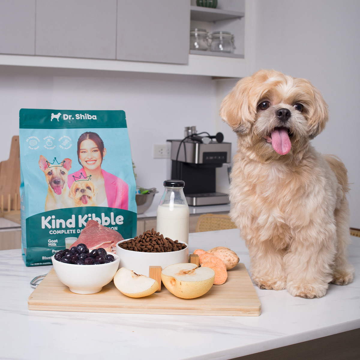 Dr. Shiba Kind Kibble 2kg pack product shot